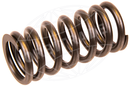 Valve Spring