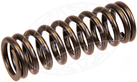 Valve Spring