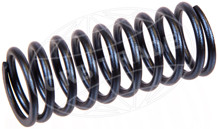 Valve Spring