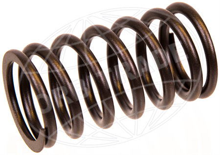 Valve Spring