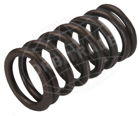 Valve Spring