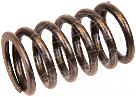 Valve Spring