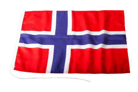 Flagga norsk 30 x 45cm polyester